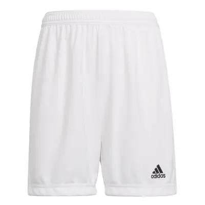 adidas Kids' Entrada Training Shorts White Small