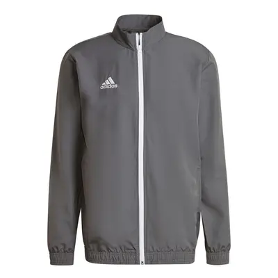 adidas Entrada Presentation Jacket grey H57535