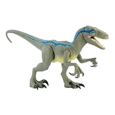 Mattel - Jurassic World Velocirraptor Blue Supercolosal, Toy Dinosaur (Mattel GCT93)