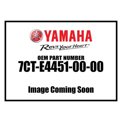 Yamaha 7CT-E4451-00-00 ELEMENT AIR CLEANER; 7CTE44510000