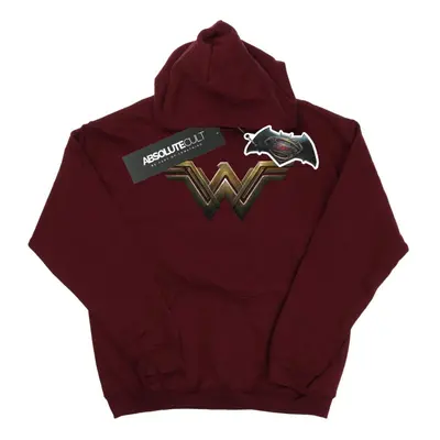 DC Comics Mens Wonder Woman Logo Hoodie