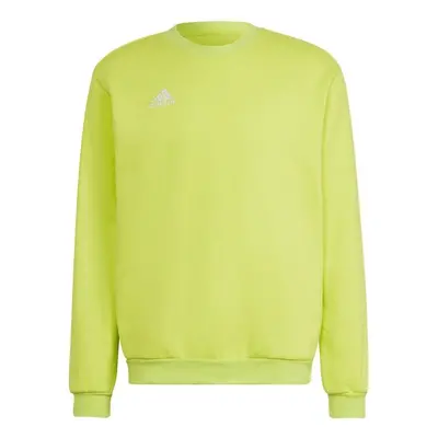 adidas Entrada Sweat Top Lime Sweatshirt HC5049