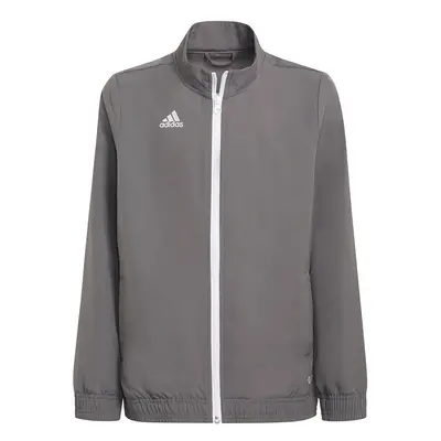 adidas Entrada Presentation Jacket grey H57539 164cm