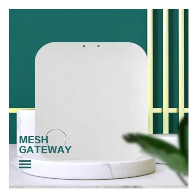 Smart Gateway Hub Bluetooth 5.0 Mesh Wireless WiFi Multifunction Device Link Host Gateway For Sm