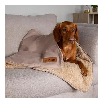 Dog/Pet Snuggle Blanket - Desert Sand