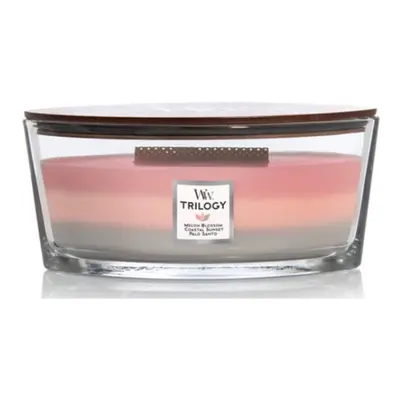 Woodwick Ellipse Scented Candle Shoreline Trilogy 16oz | Up to Hours Burn Time Multicolor Pour