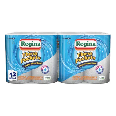 Regina Thirst Pockets Kitchen Towels, Large, Pack of