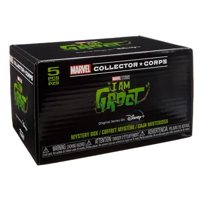 Funko Marvel Collector Corps Subscription Box I Am Groot Disney+ Theme Multicolor