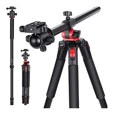 Neewer 72.4-Inch Aluminum Camera Tripod Monopod with 360-Degree Rotatable Center Column and Ball