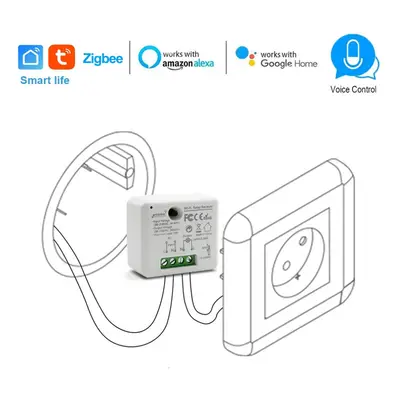 Smart Smart Socket Switch Module 10A 110V 240V 2500W Controller Voice Control Timer Switch Suppo