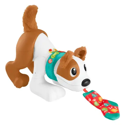 Fisher-Price Baby Learning Toy Crawl with Me Puppy Electronic Dog