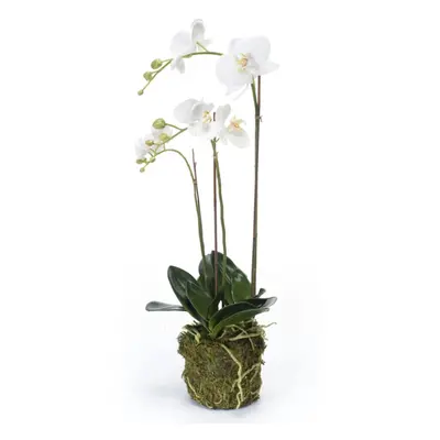 Emerald Artificial Phalaenopsis Orchid 70cm White Faux Lifelike Indoor Plant