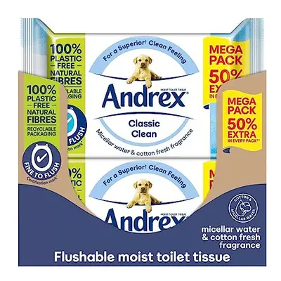 Andrex Classic Clean Washlets (10)