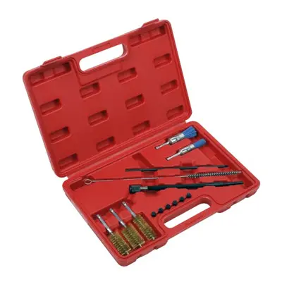 Injector Bore Cleaning Brush Set 14pc - VS1900, Red