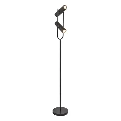 2 Light Cylinder Shade Floor Lamp In Matt Black