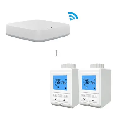 Smart Wireless Gateway HUB+2pcs Thermostat Heater Temperature Controller TRV Thermostatic Radiat