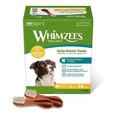 WHIMZEES By Wellness Toothbrush, Month Box, Natural and Grain-Free Dog Chews, Dog Dental Sticks,