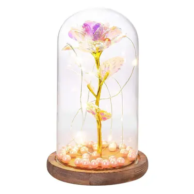 Metal Rose Glass Dome Light