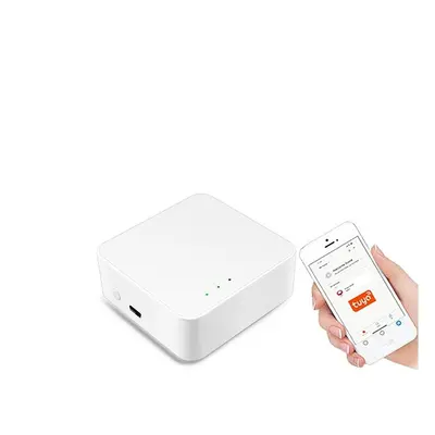 Gateway WIFI Bluetooth Mesh 5.0 Gateway Hub Smart Home Automation Control Kits Works With Alexa 