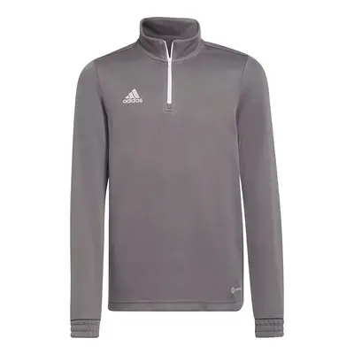 Sweatshirt for kids adidas Entrada Training Top gray H57549 164cm