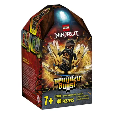 LEGO NINJAGO Spinjitzu Burst - Cole NINJAGO Accessory Set Buildi