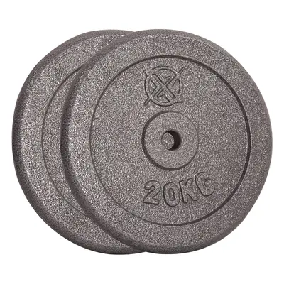 (2 x kg) RIP X Pair Standard Weight Plates 1" Cast Iron 1.25-20KG Lift Barbell Dumbbell