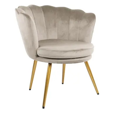 Genesis Flora Accent Chair with Petal Back Scallop Armchair in Velvet - Taupe