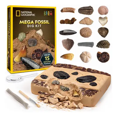 Mega Fossil Dig Kit - Excavate Genuine Prehistoric Fossils, Kids Fossil Kit, Educational Toys, G