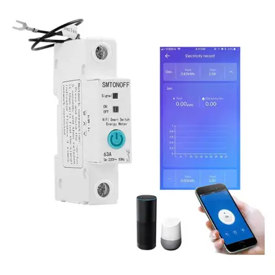 Single Phase Din Rail WIFI Smart Switch Energy Meter Leakage Protection Remote Read KWh Meter Wa