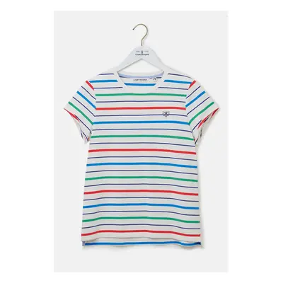 (UK 10, Seagrass Blue Poppy Stripe) Causeway Womens T-Shirt