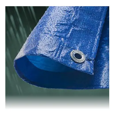 (7M x 9M, 1) Economy Blue Waterproof Tarpaulin Sheet Tarp Cover With Eyelets