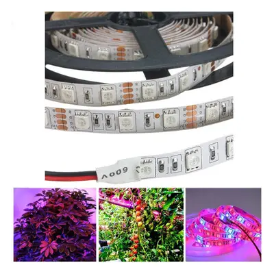 (4 Red Blue) 5M 3:1/4:1/5:1 Red:Blue 5050SMD 300LED Non-waterproof Hydroponic Plant Grow Strip L