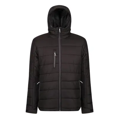 (L, Black/Seal Grey) Regatta Mens Navigate Thermal Padded Jacket