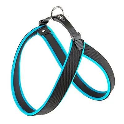 Agila 8Â Fluorescent Dog Harness Blue 69Â x 77Â cm x 30Â mm