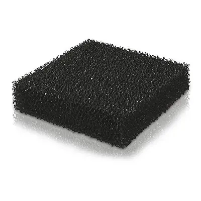 Jewel Carbon Sponge Jumbo