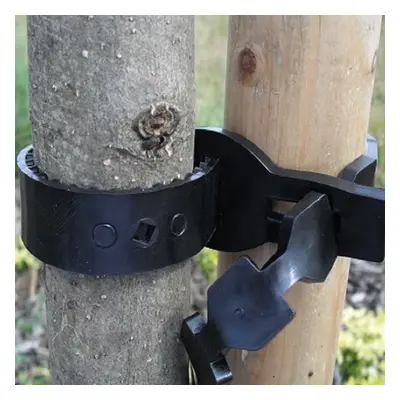 (40cm x 1.25cm, 250) Heavy Duty Super Softee Tree Ties Pvc Strong Tree Support Various Sizes