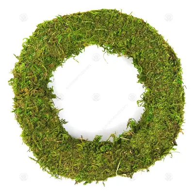 (8", 40) Padded Moss Effect Ring | Christmas Wreath Making Bases Frames Funeral Grave