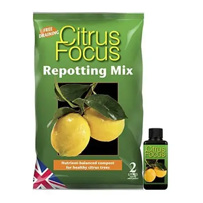 Citrus Focus repotting Mix Litre Bag & Citrus Focus 100ml Feed