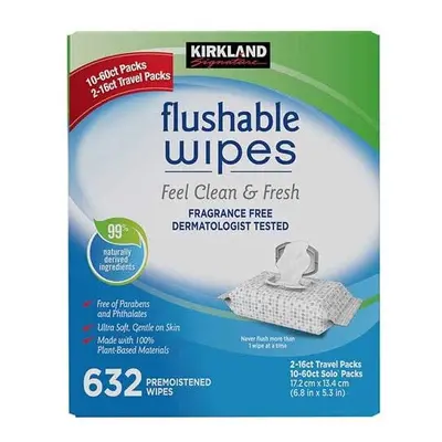 Kirkland Signature Moist Flushable Wipes Count Fast