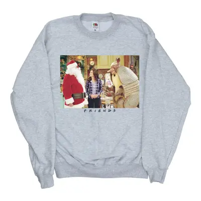 (M, Sports Grey) Friends Womens/Ladies Christmas Armadillo Sweatshirt