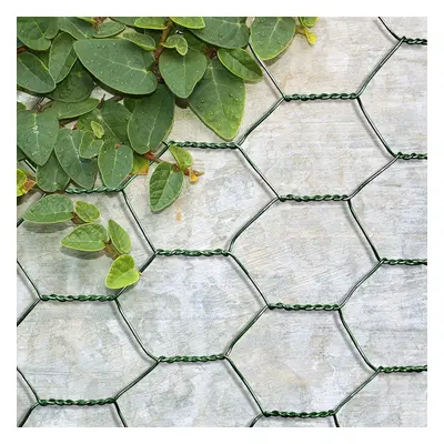 Chicken Wire Garden Roll Green Wire Border Fencing Edging 25cm x 10m