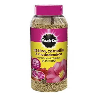 Miracle Gro Slow Release Azalea, Camellia & Rhododendron Plant Food 1kg Shaker Jar (519423)