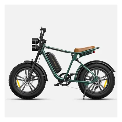 (13AH-Green) ENGWE M20 adult electric bicycle 750W 13AH/26AH