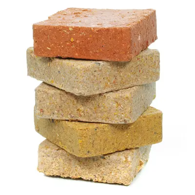 GardenersDream Suet Blocks (Mixed, 100)