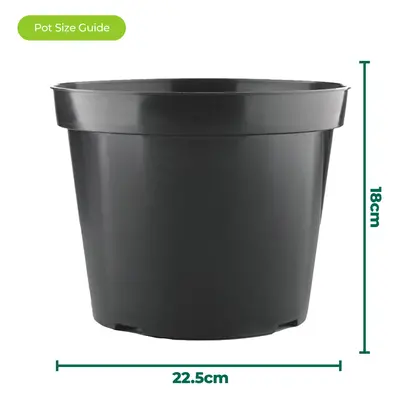 100 x 5L Round Black Plant Pots For Growing Garden Plants & Herbs Outdoor Grower