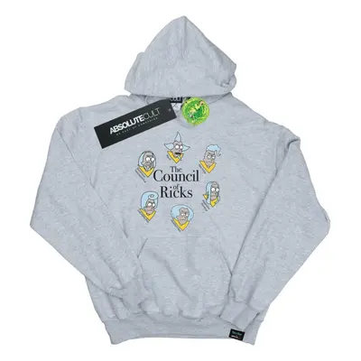 (S, Heather Grey) Rick And Morty Womens/Ladies Council Of Ricks Hoodie