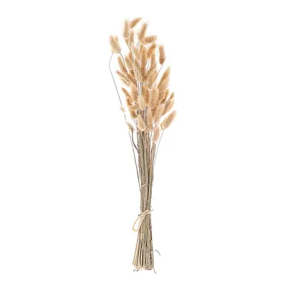 Dried Flower Bouquet SANABRIA cm Natural