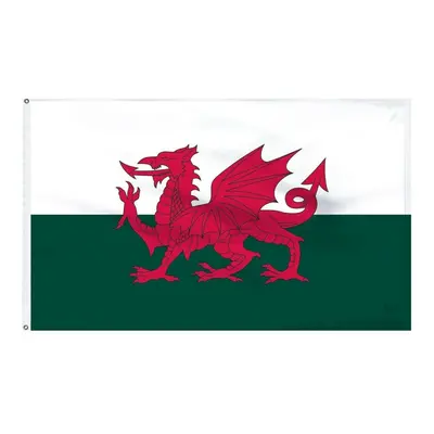 EXTRA LARGE x Ft Wales Welsh Dragon Flag