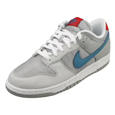 (12) Nike Dunk Low Qs Mens Fashion Trainers in Silver