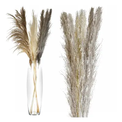 9x Natural Dried Pampas Grass Arrangement Reed Flower Tall Bouquet Vase Decor